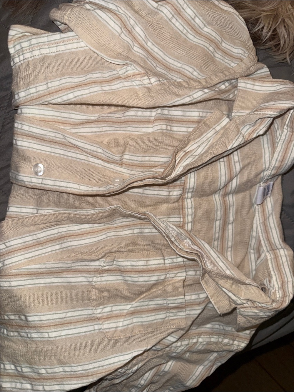 GAP Beige and White Striped Button-Down Shirt short sleeve